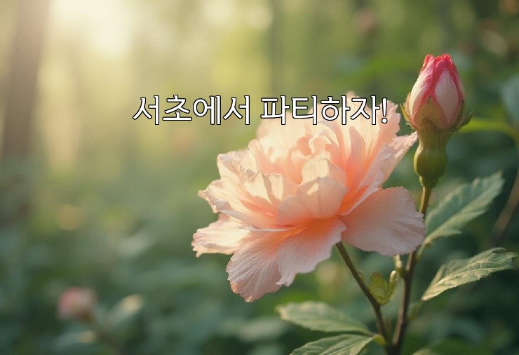 서초에서 파티하자!