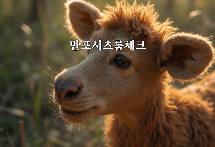 반포셔츠룸체크