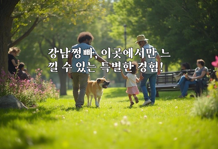 강남쩡빠, 이곳에서만 느낄 수 있는 특별한 경험!