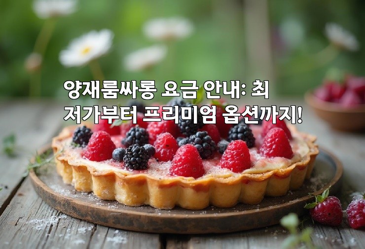 양재룸싸롱 요금 안내: 최저가부터 프리미엄 옵션까지!