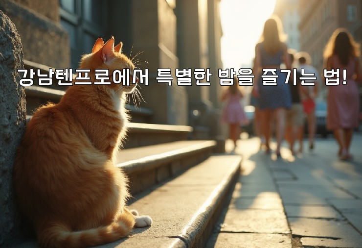 강남텐프로에서 특별한 밤을 즐기는 법!